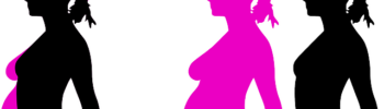concepcion